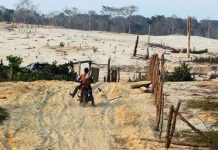 Đối mặt thảm họa môi trường