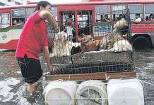 Lũ tràn vào quận phía bắc Bangkok