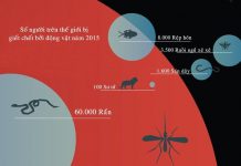 Những loài vật giết người nhiều nhất thế giới