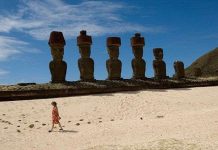 Loại vi khuẩn bí ẩn trên đảo Phục sinh