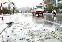 Vì sao nhện cái ăn thịt bạn tình sau khi “vui vẻ”? Dông lốc, mưa đá ở Quảng Ninh làm 8 người chết