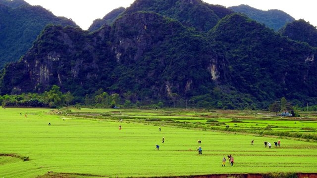 Chùm ảnh: Đất đẹp Quảng Bình vào phim bom tấn Hollywood
