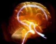 Sự tiến hóa của con người Sự tiến hóa của con người