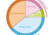 Tăng khả năng thụ thai – Tính ngày rụng trứng chu ky kinh nguyet