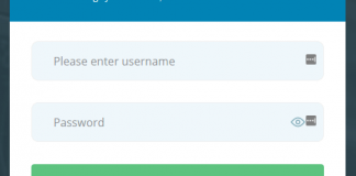 DirectAdmin Login Page