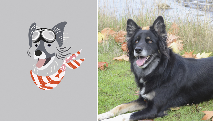 Hoạ sĩ biến hình ảnh chó thành những tranh vẽ chân dung đầy nghệ thuật