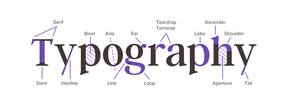 Cheatsheet khái niệm cơ bản trong Typography