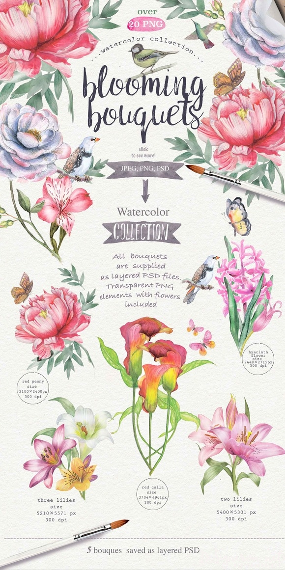 Bộ Buldle Watercolor tuyệt đẹp chủ đề WILD FLOWER cho designer