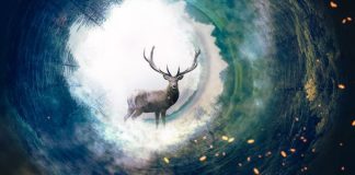 Cách sử dụng công cụ Photoshop Online trên DesignerVN