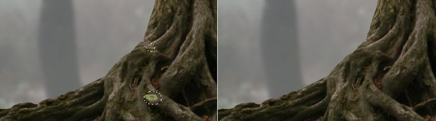 Tạo hình ảnh cú bay trong rừng kỳ quái trong Photoshop (Bao gồm PSD)