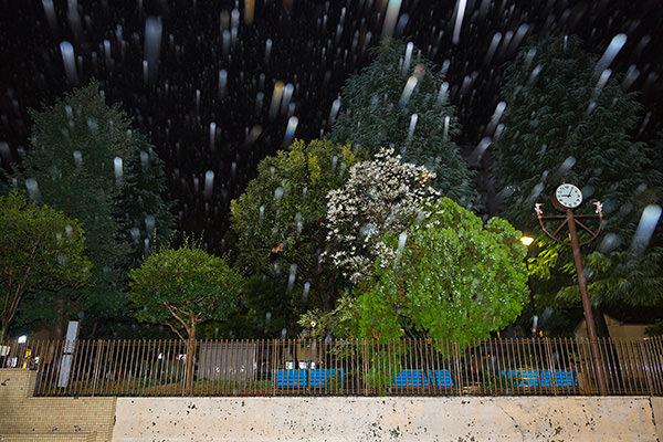 Kỹ thuật sử dụng đèn Flash tích hợp: Chụp vòng tròn Bokeh đẹp trong trời mưa