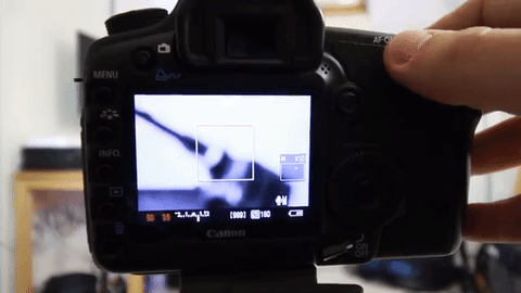Cách tự động lấy nét (AutoFocus) trên máy ảnh DSLR của bạn trong 3 bước dễ dàng