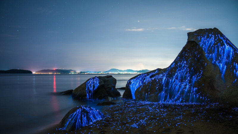 Bộ ảnh chụp biển The Weeping Stones tại Nhật Bản