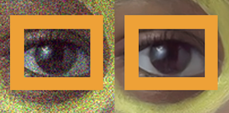 NVIDIA ra mắt AI loại bỏ nhiễu, hạt và thậm chí cả watermark trên ảnh