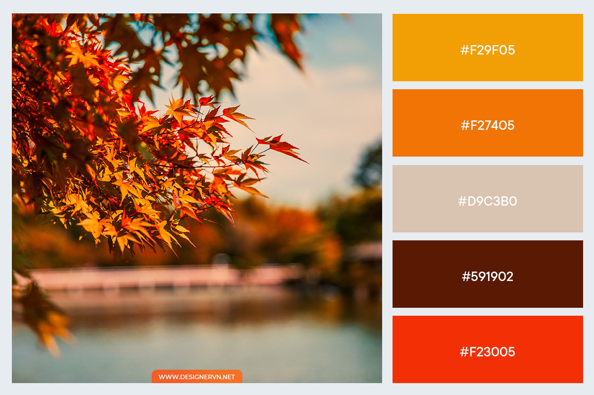 10 Bảng màu tuyệt vời lấy cảm hứng từ mùa thu