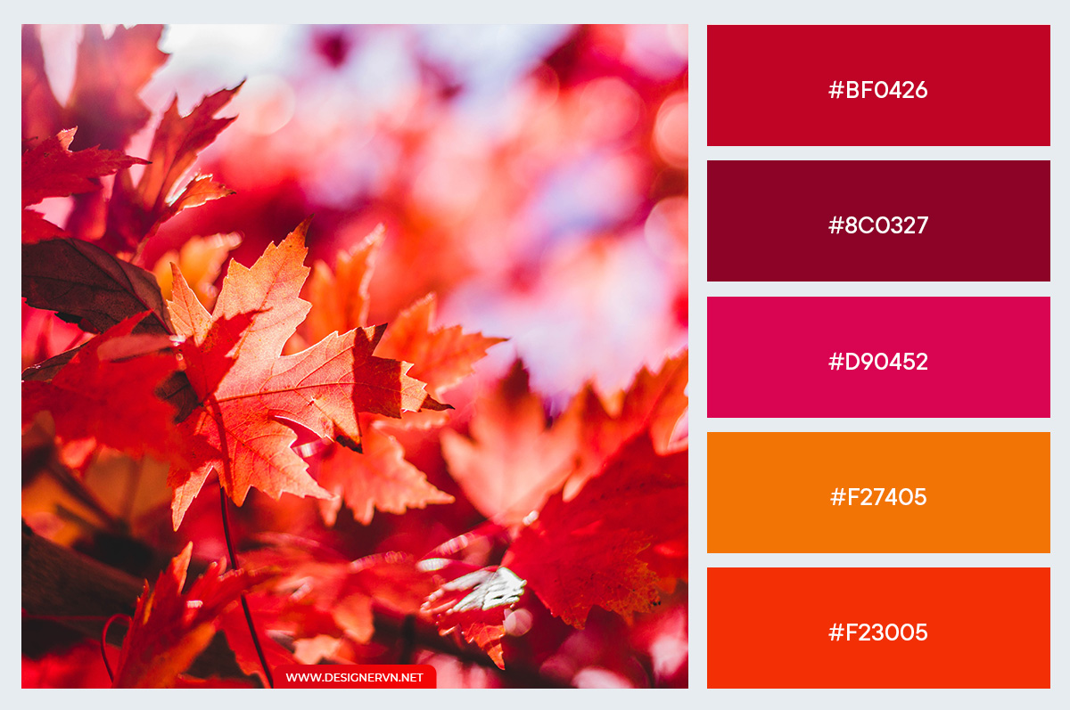 10 Bảng màu tuyệt vời lấy cảm hứng từ mùa thu