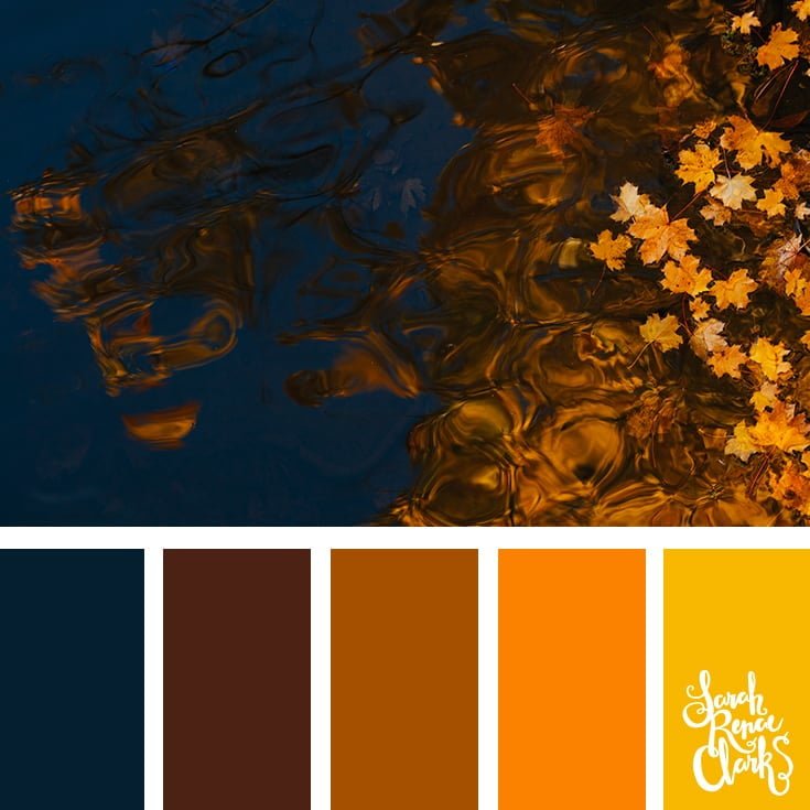 25 Bảng màu tuyệt vời lấy cảm hứng từ sắc màu mùa thu