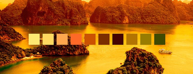 10 bảng màu từ thế giới tự nhiên sẽ truyền cảm hứng sáng tạo cho bạn