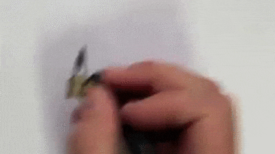 30+ Ảnh GIF nghệ thuật Calligraphy sẽ khiến bạn xem không ngừng mắt