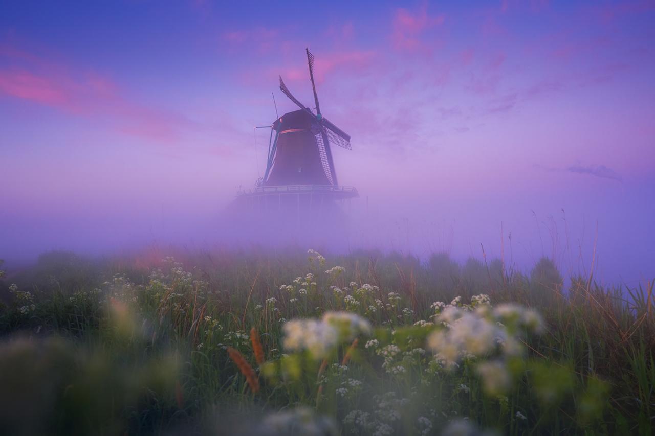 Bộ ảnh thơ mộng về khung cảnh cối xay gió tại Hà Lan