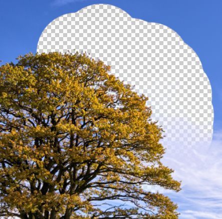 Xoá bỏ nền ảnh nhanh chóng với công cụ Background Eraser Tool trong Photoshop
